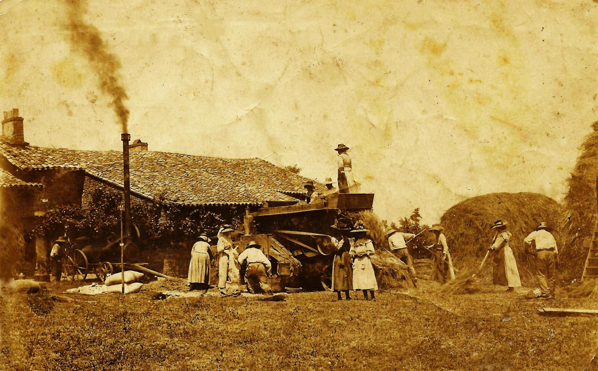 Battage des céréales vers 1900